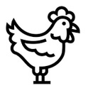 Fresh Poultry
