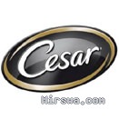 Cesar