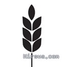 Dry Veg Cereals and Rice