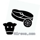 Frozen Beef and Veal