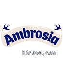 Ambrosia